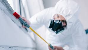 Pest Control for Restaurants and Food Service in Saluda, SC